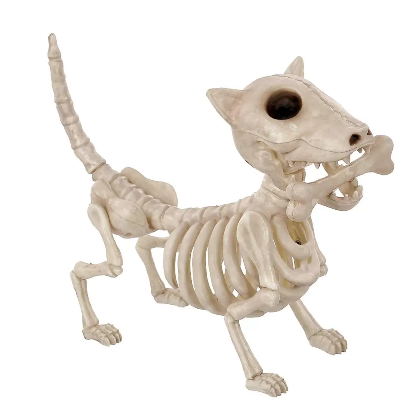 Halloween Decor>Roger's Gardens Digger The Skeleton Dog - 11" Tall