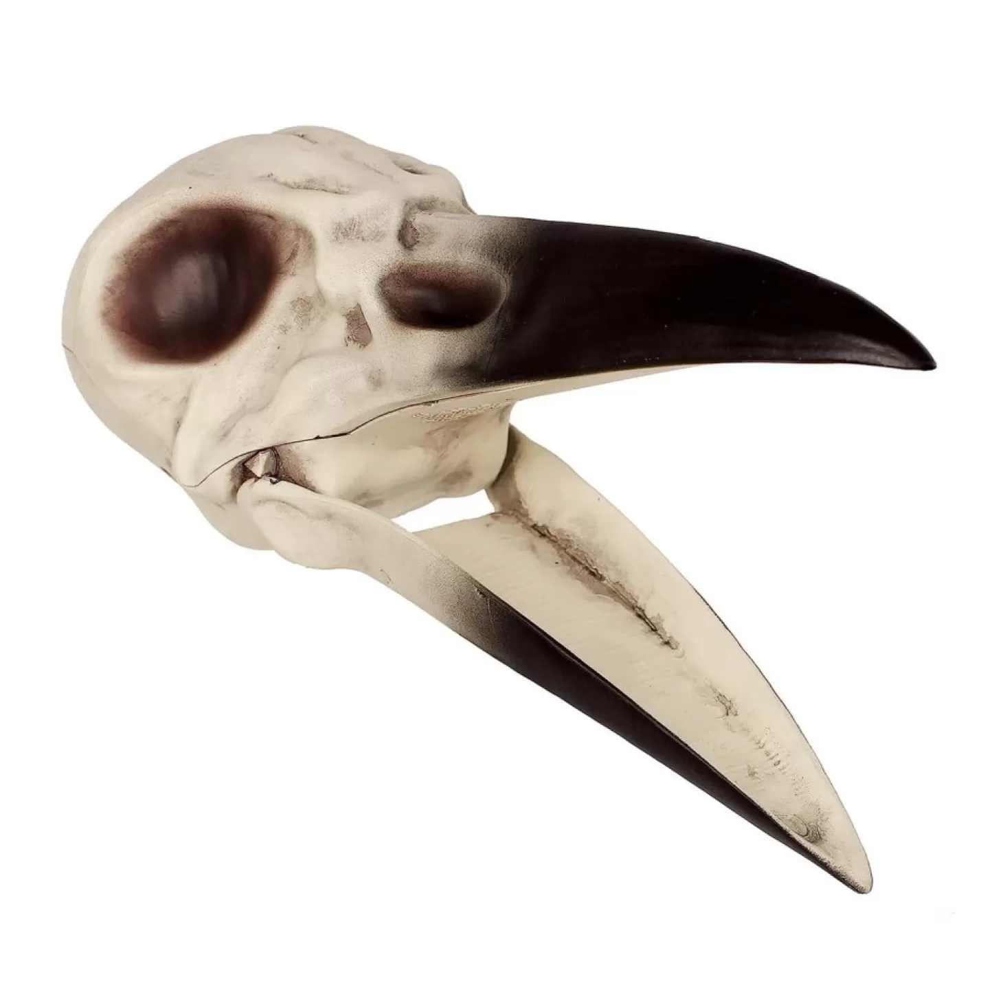 Halloween Decor>Roger's Gardens Evil Raven Skull - 8.75" X 3.5" X 3.5"