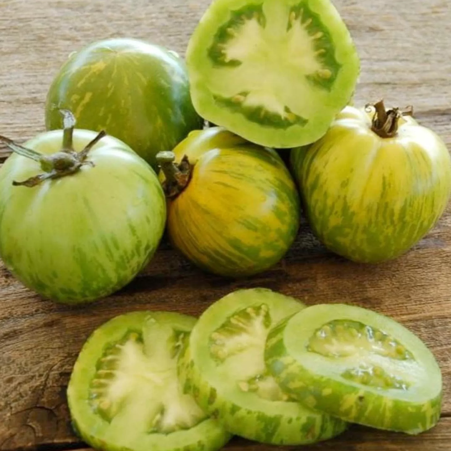 Tomatoes>Roger's Gardens Green Zebra - 4" Pot