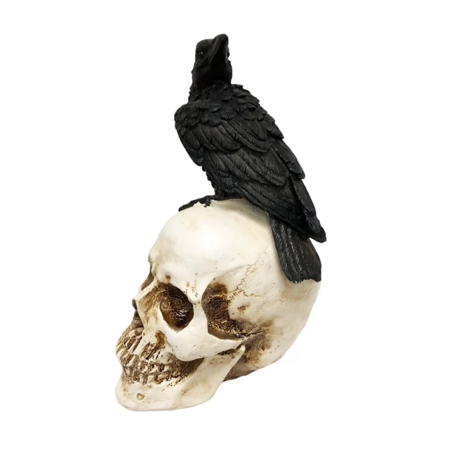 Halloween Decor>Roger's Gardens Halloween Lighted Black Crow On Spooky Skull - 9.5" Tall