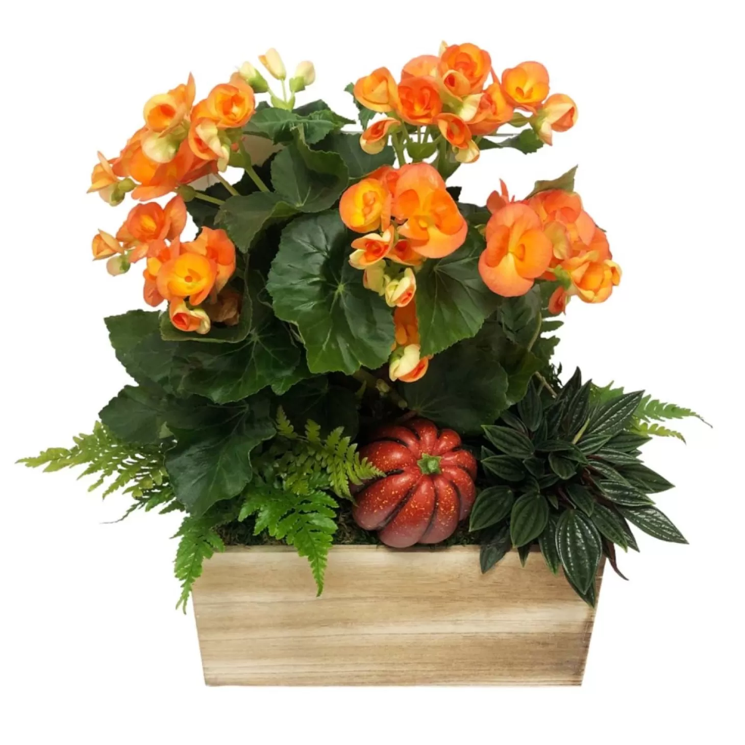 Indoor Planted Arrangements>Roger's Gardens Large Tradational Fall Living Centerpiece