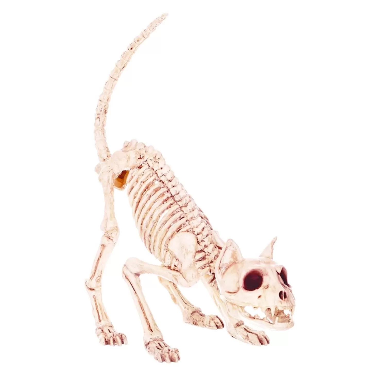 Halloween Decor>Roger's Gardens Lil Kitty Bonez - 7" Tall