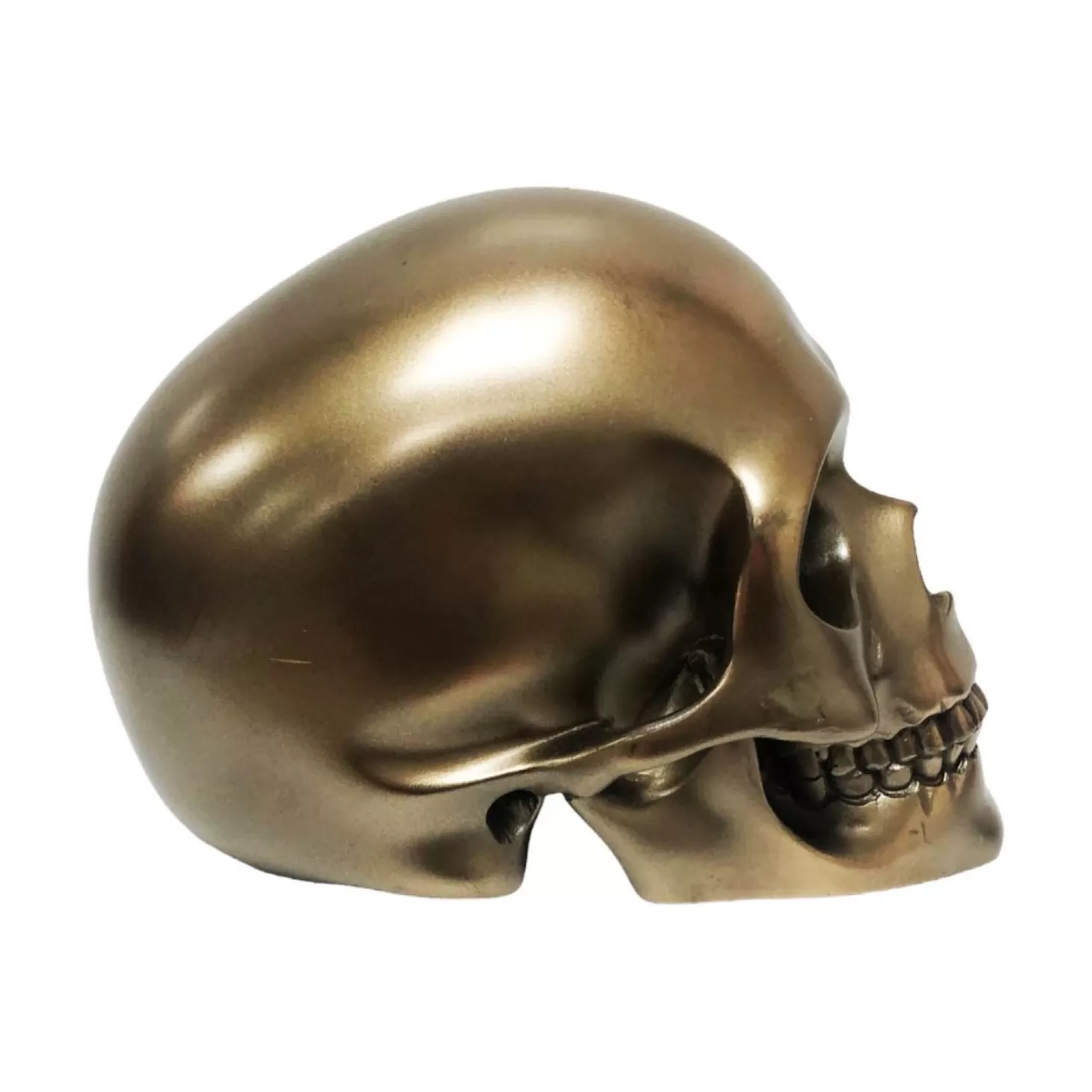 Halloween Decor>Roger's Gardens Mystical Bronze Skull - 5.25" Tall