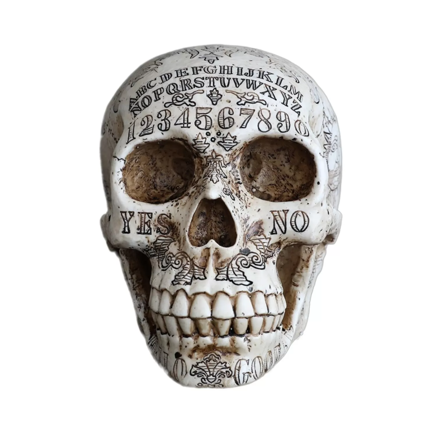 Halloween Decor>Roger's Gardens Ouija Skull - 6.25" Tall