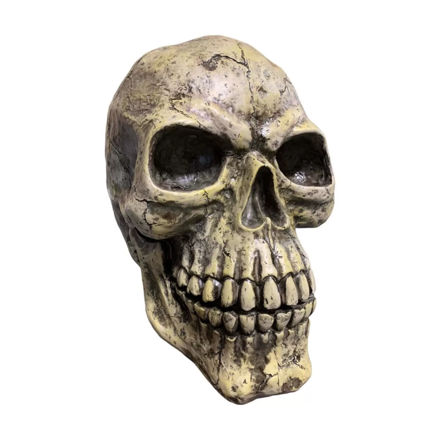 Halloween Decor>Roger's Gardens Oversized Skull - 14" Tall