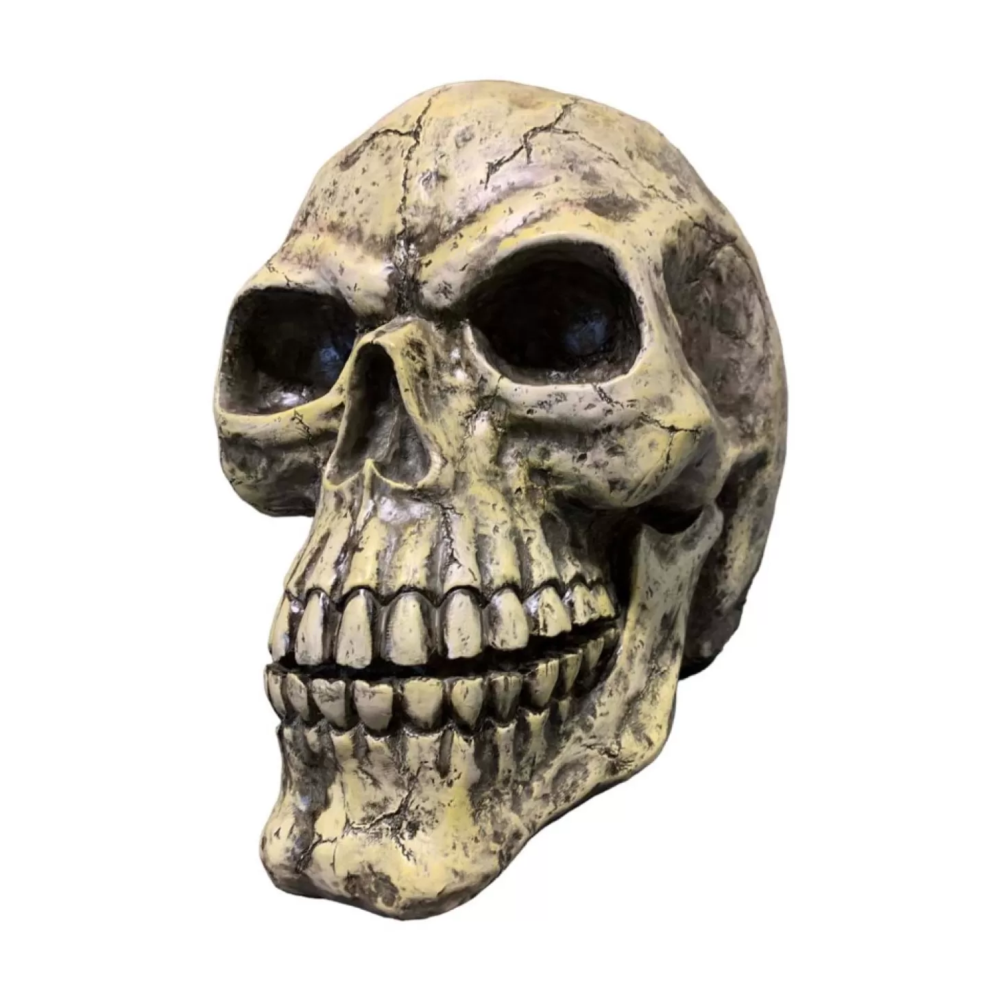 Halloween Decor>Roger's Gardens Oversized Skull - 14" Tall