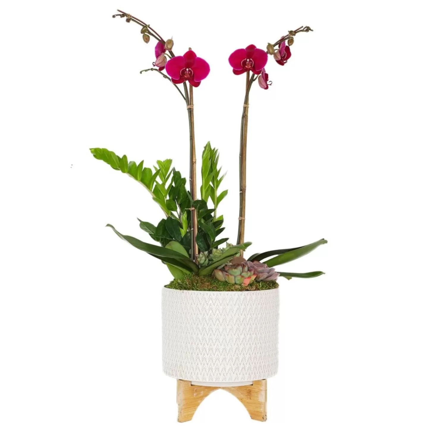 Original Design Arrangements>Roger's Gardens Purple Orchid In Chevron Pot