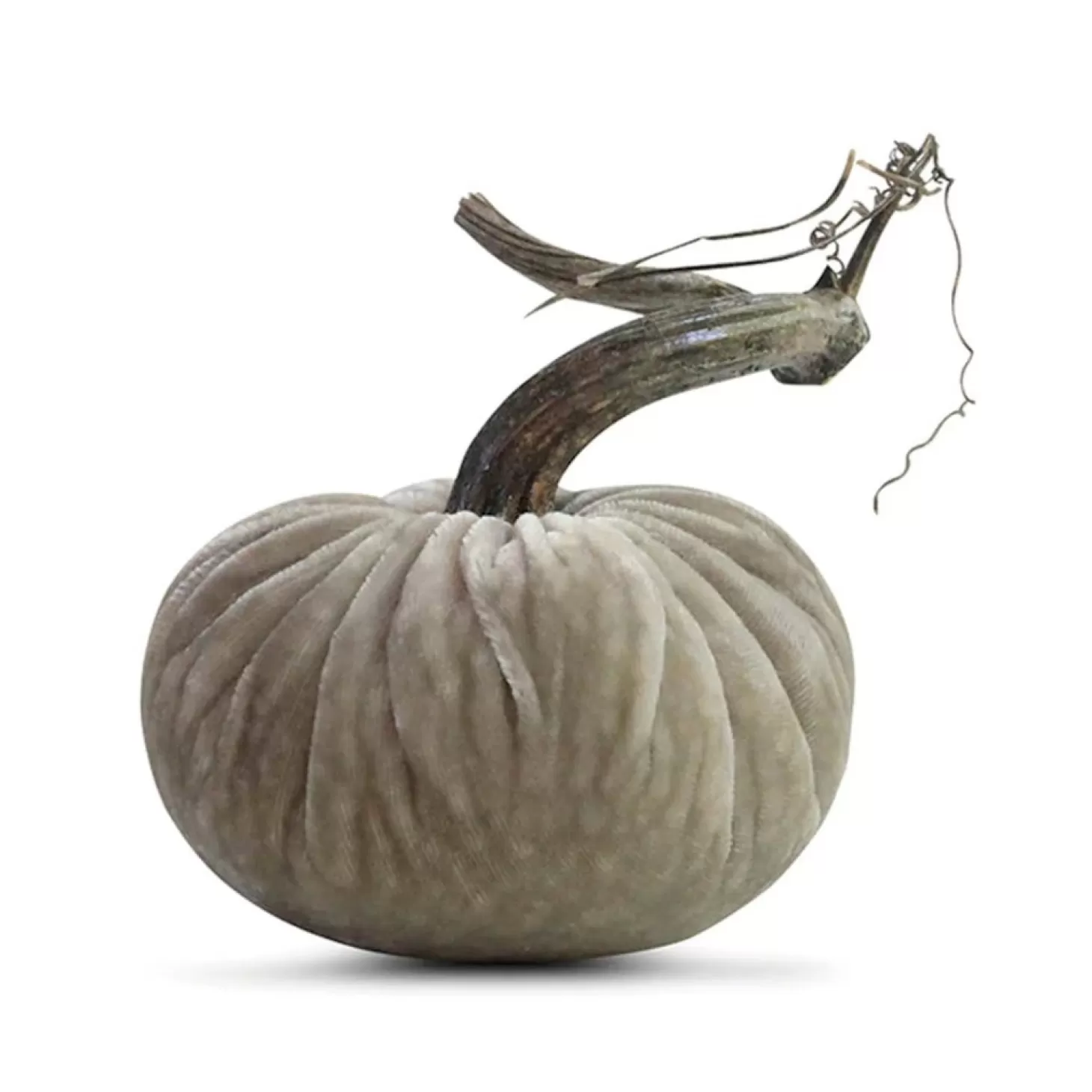 Decor Accents>Roger's Gardens Putty Velvet Pumpkin - 6" Tall To 13" Tall