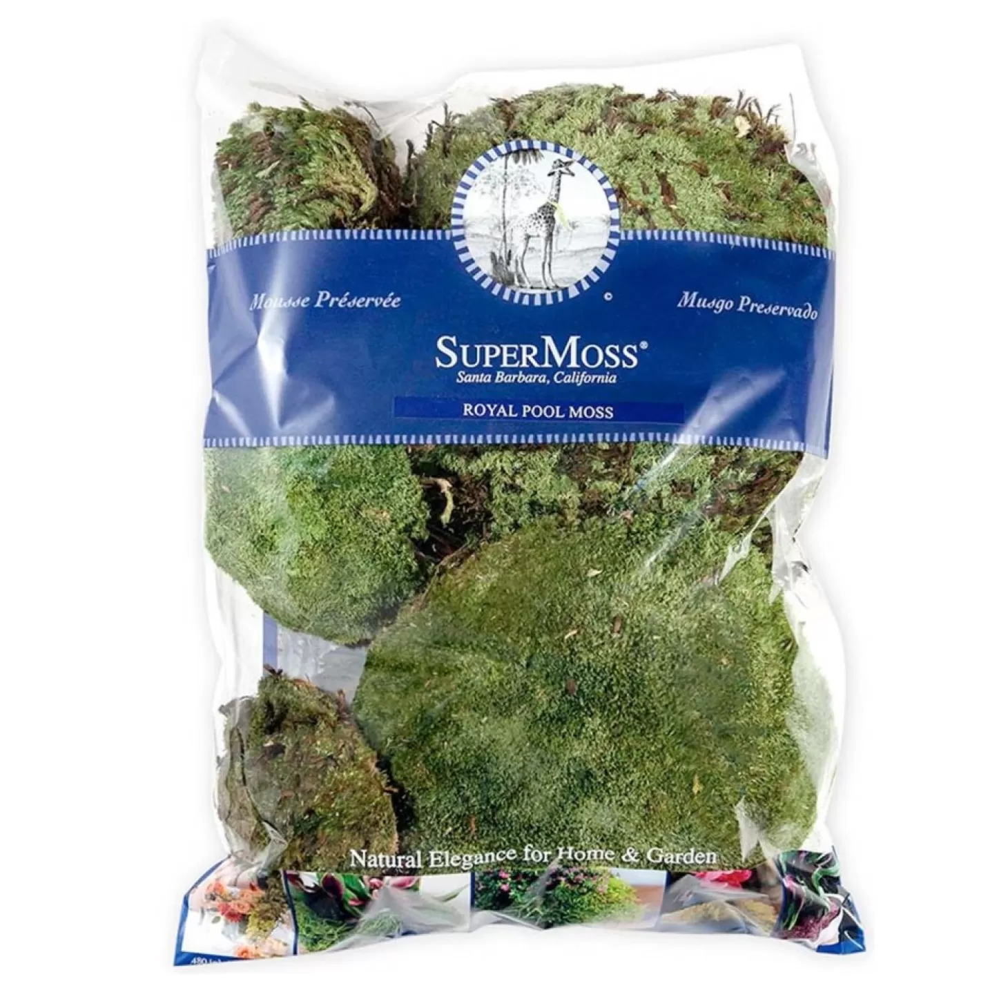 Mosses>Roger's Gardens Royal Pool Moss Preserved - 8Oz