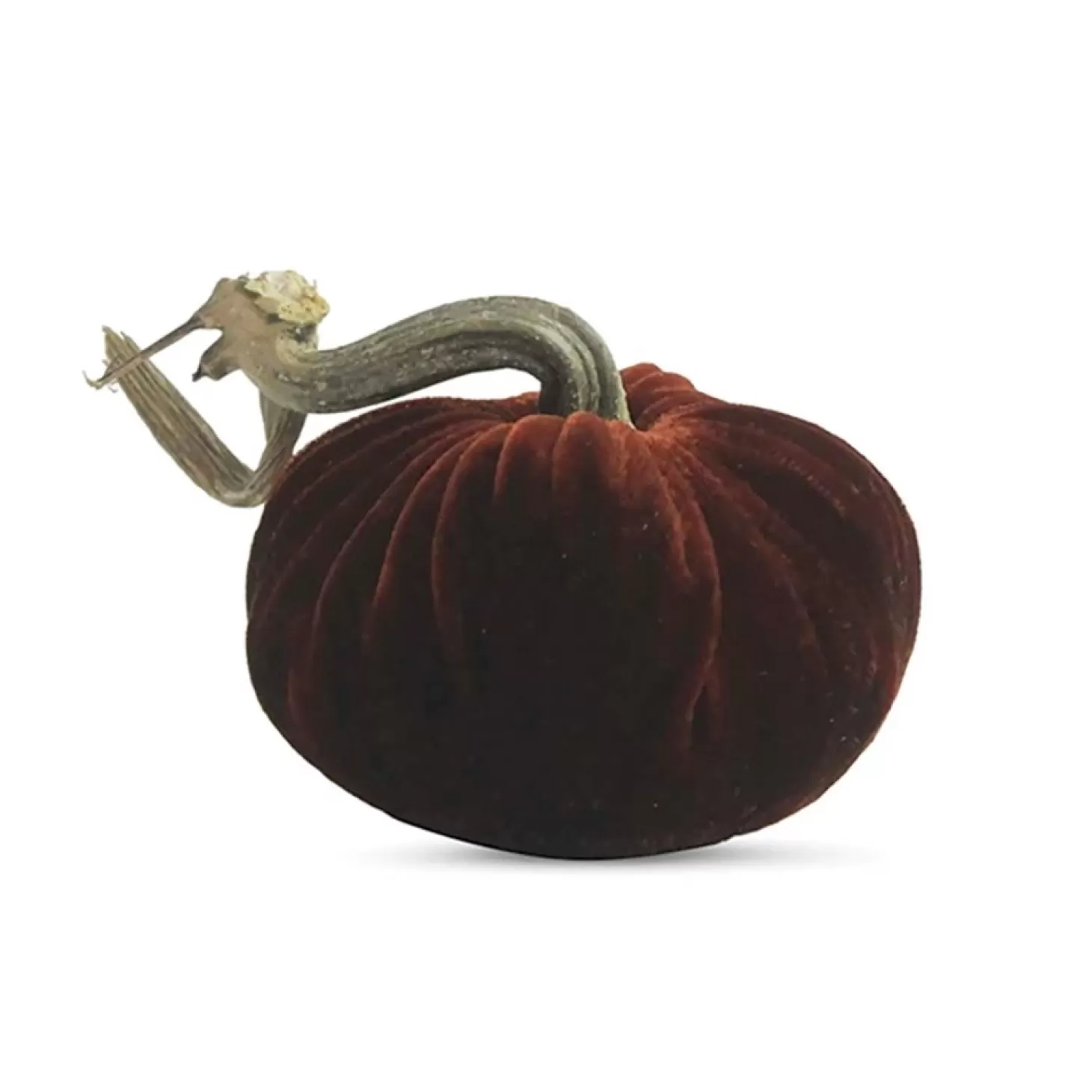 Decor Accents>Roger's Gardens Saffron Velvet Pumpkin - 6" Tall To 13" Tall