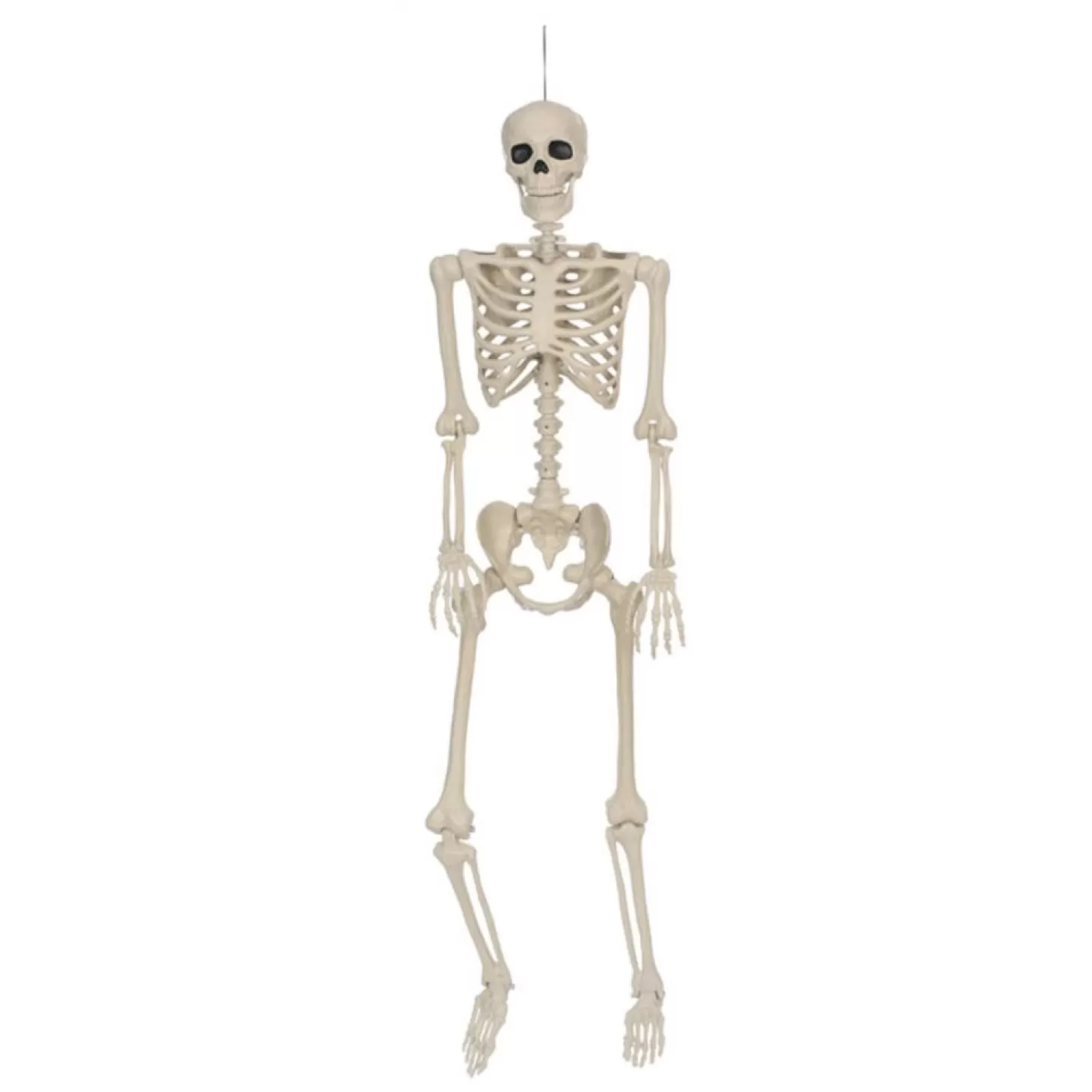 Halloween Decor>Roger's Gardens Skeleton - 36" Tall