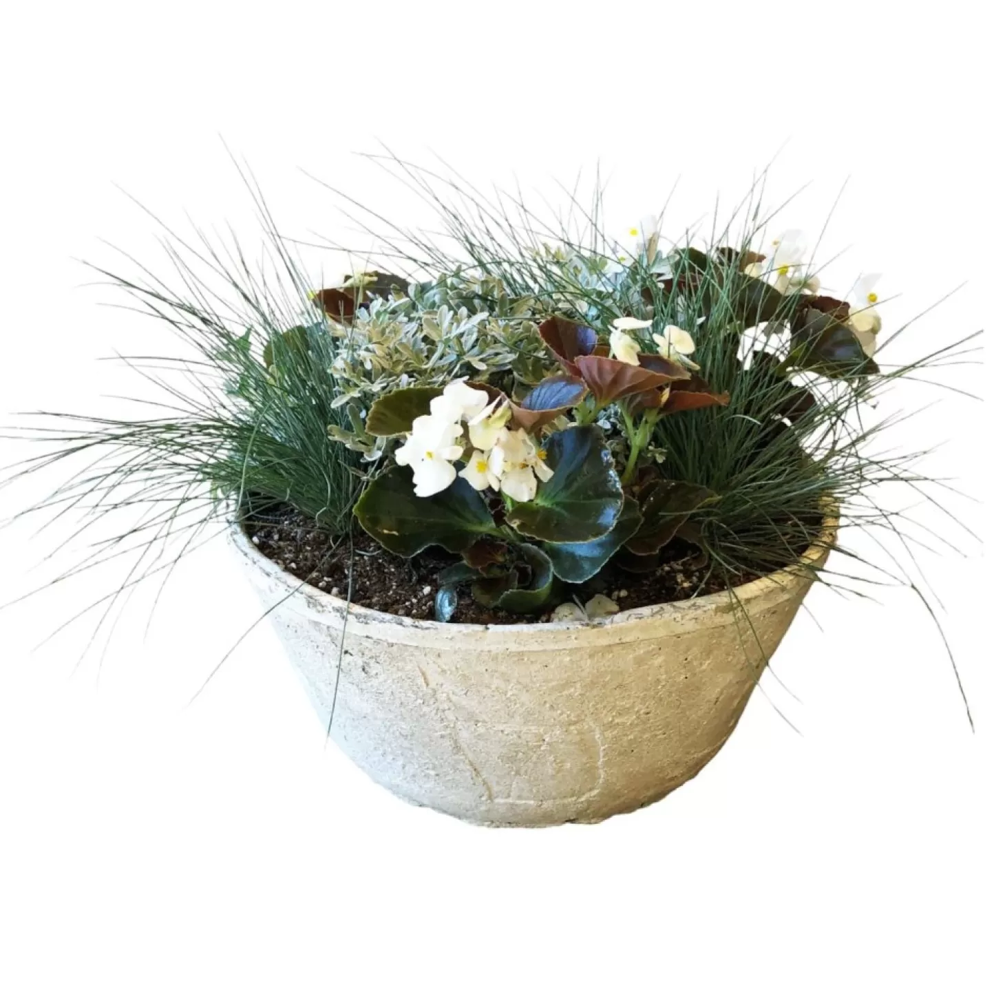 Outdoor Planted Containers>Roger's Gardens White Autumn In Large Whitestone Bowl