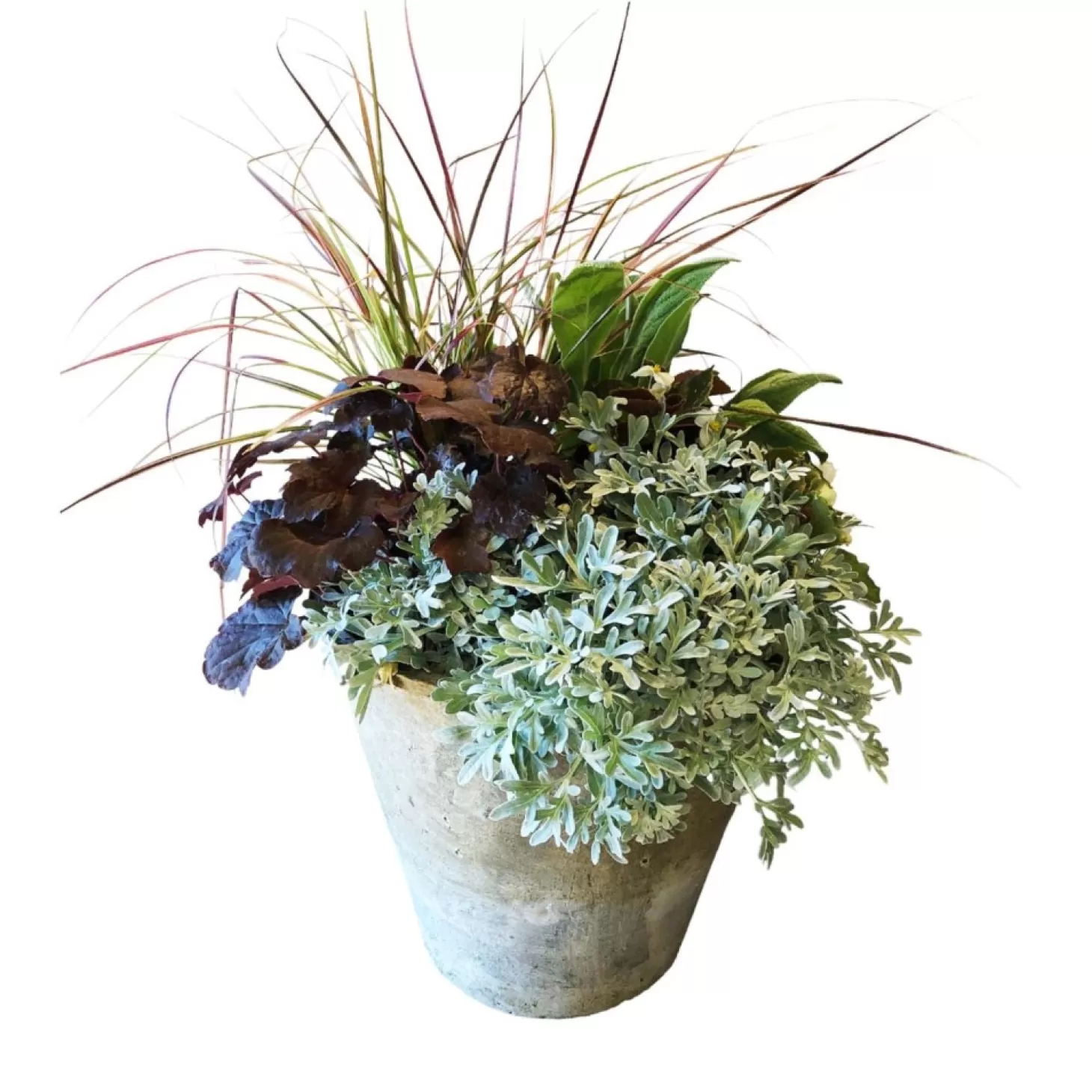 Original Design Arrangements>Roger's Gardens White Autumn In Redstone Flare Pot